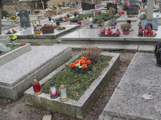 Aniela Sitko 1916 Mikołów - Grobonet - Wyszukiwarka osób pochowanych