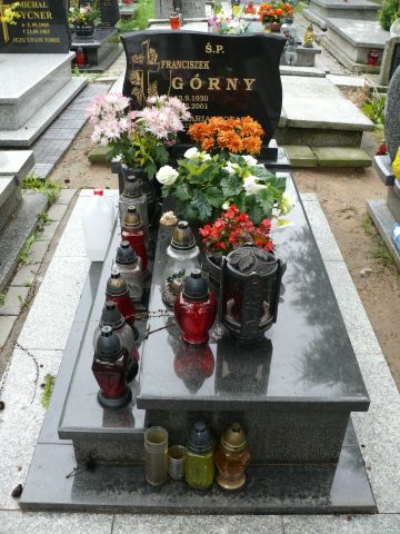 Grób Franciszek Górny